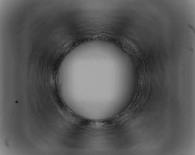 X0000091970607200709061133