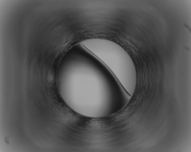 X0000091970608200709061133
