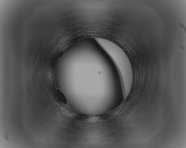 X0000091970609200709061133