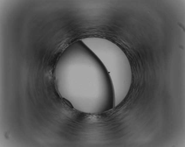 X0000091970611200709061133