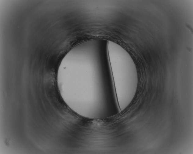 X0000091970612200709061133