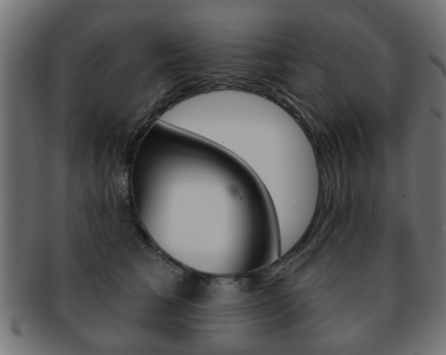 X0000091970613200709061133