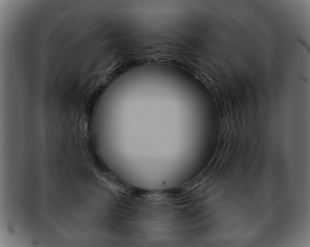X0000091970615200709061133