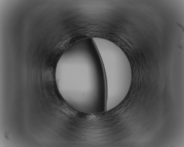 X0000091970616200709061133