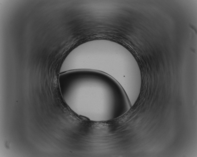 X0000091970617200709061133