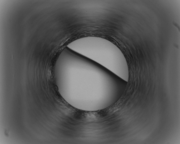X0000091970618200709061133