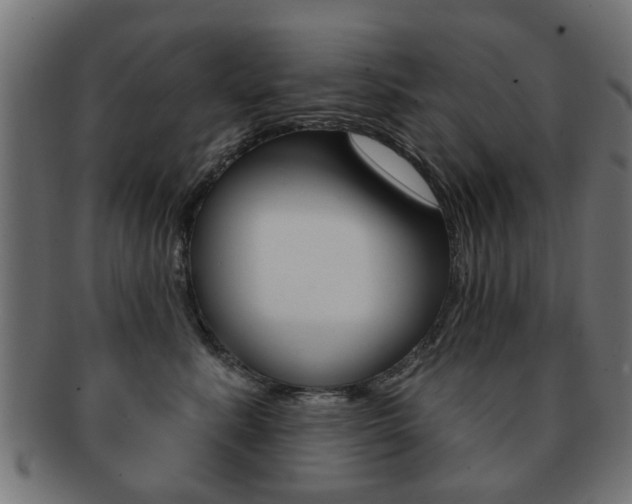 X0000091970619200709061133