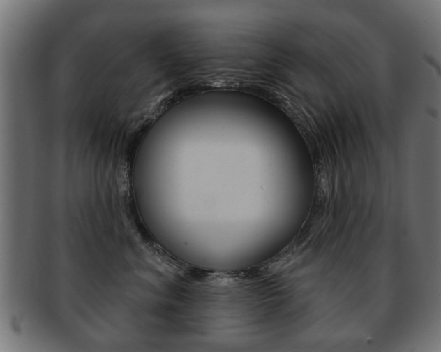 X0000091970620200709061133