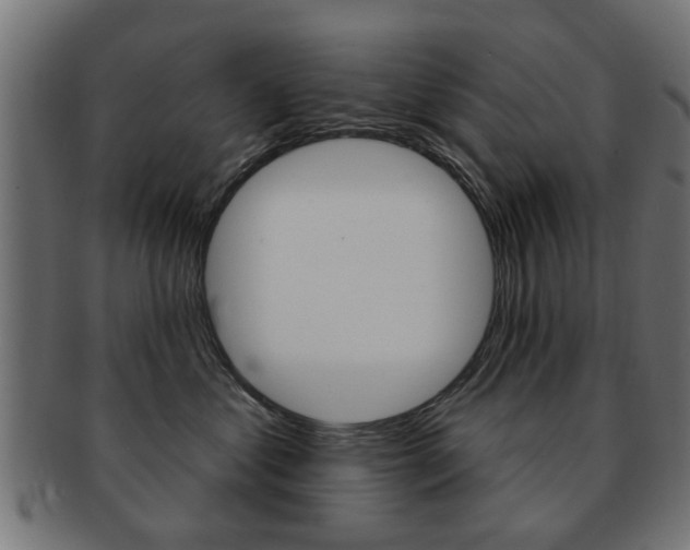X0000091970621200709061133