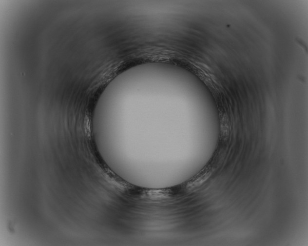 X0000091970622200709061133