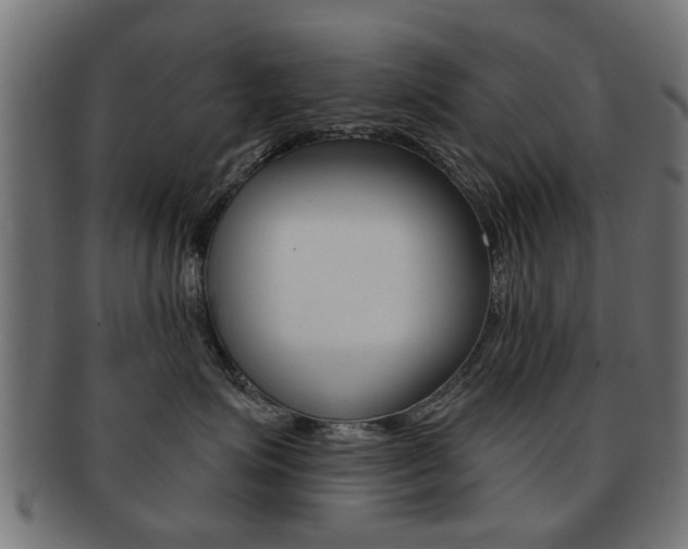 X0000091970623200709061133