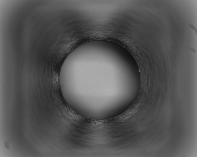 X0000091970624200709061133