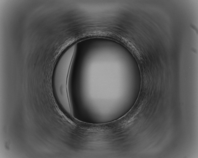 X0000091970625200709061132