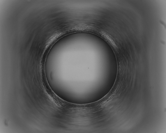 X0000091970626200709061132