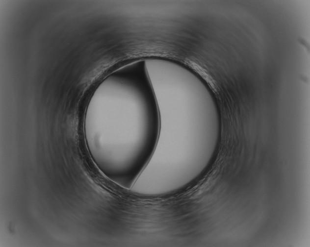X0000091970627200709061132