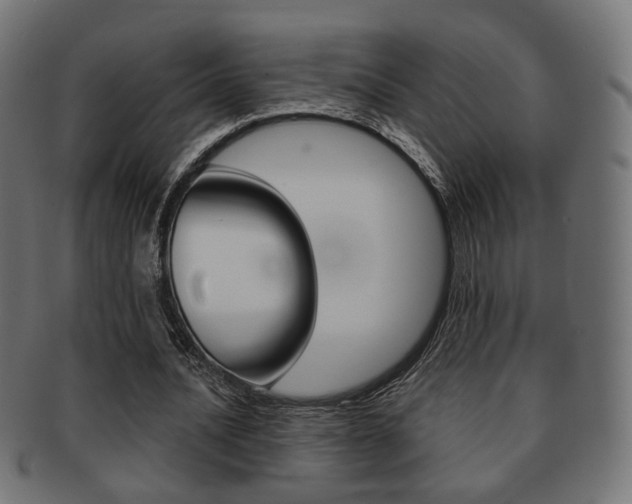 X0000091970628200709061132