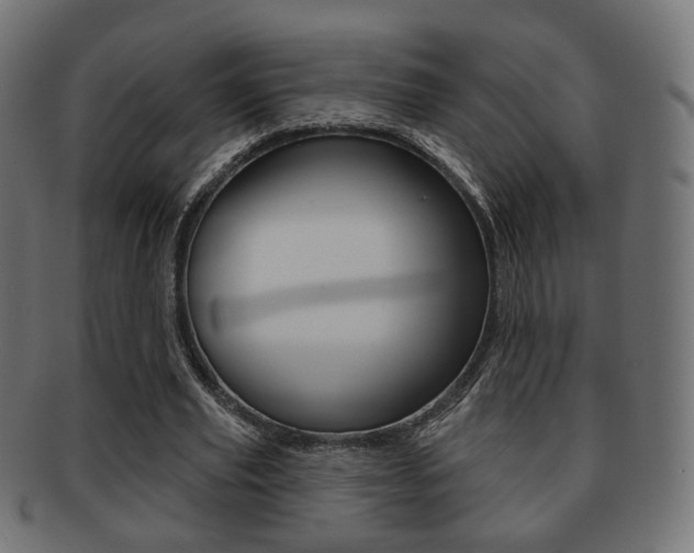 X0000091970629200709061132