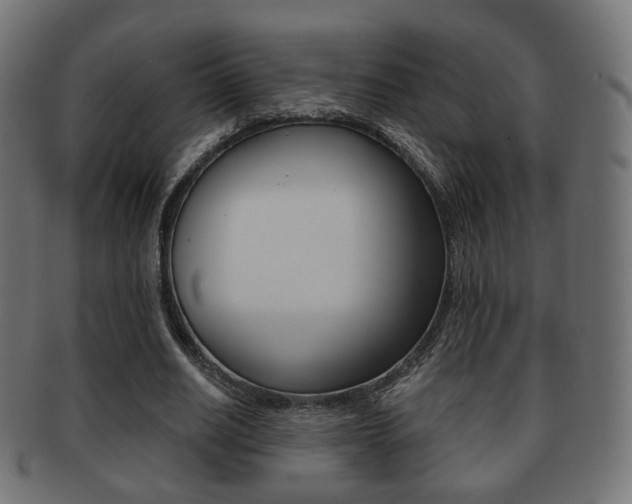 X0000091970630200709061132