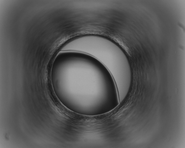 X0000091970631200709061132