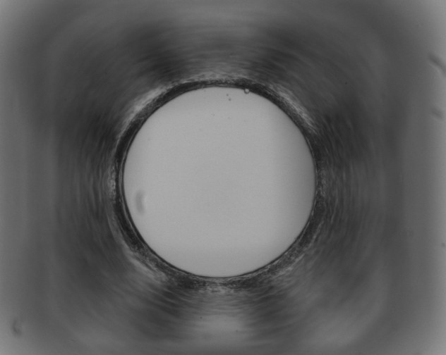 X0000091970632200709061132
