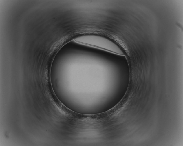 X0000091970633200709061132