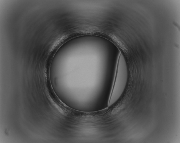 X0000091970634200709061132