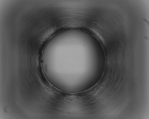 X0000091970635200709061132