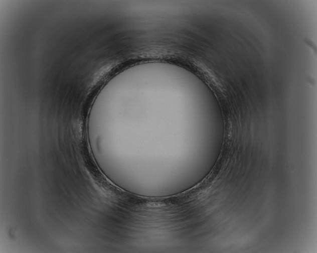 X0000091970636200709061132