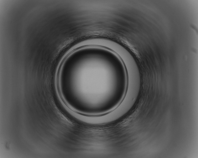 X0000091970637200709061132