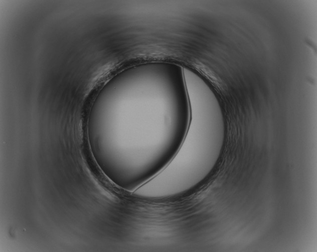 X0000091970638200709061133
