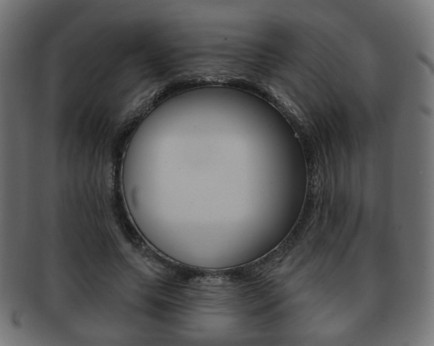 X0000091970639200709061133