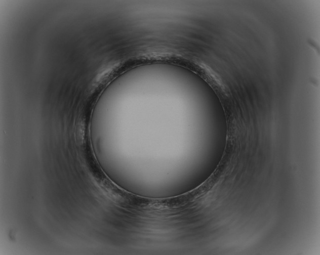 X0000091970640200709061133