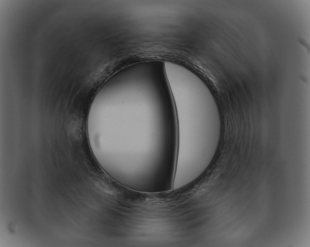 X0000091970641200709061133