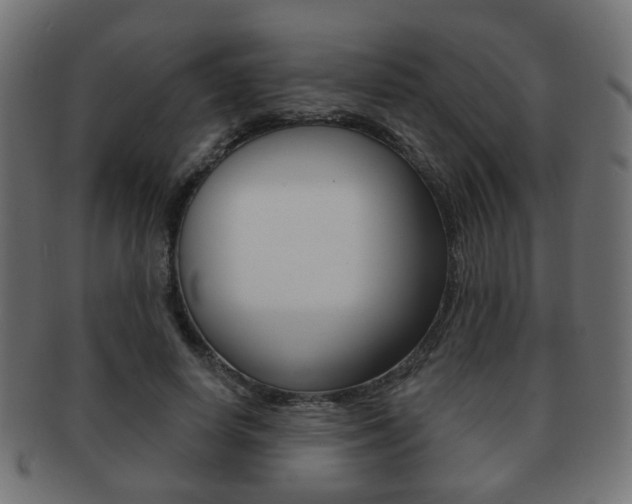 X0000091970642200709061133