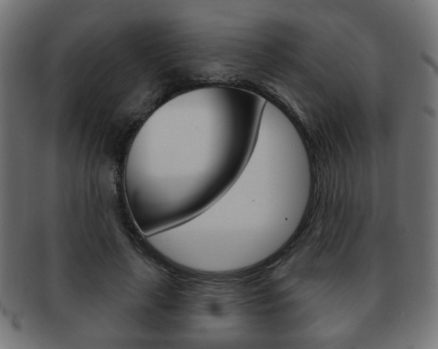 X0000091970643200709061133