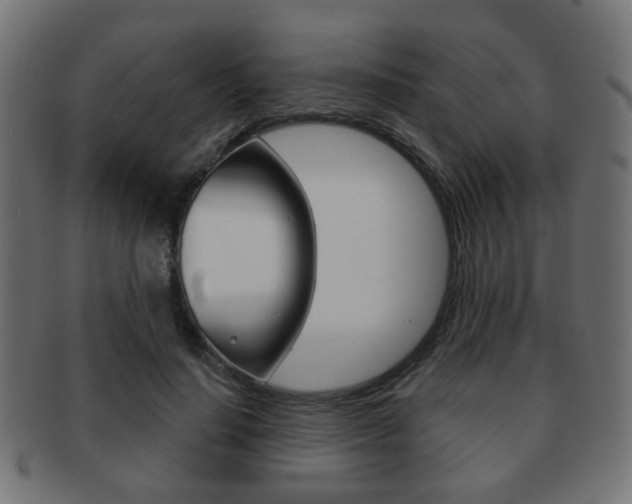 X0000091970644200709061133
