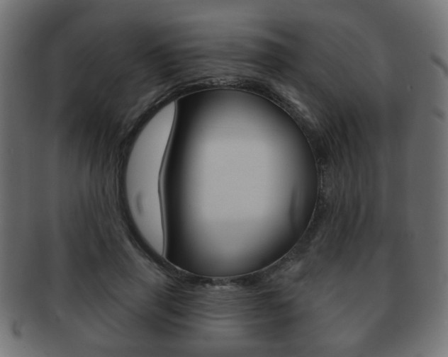 X0000091970645200709061133