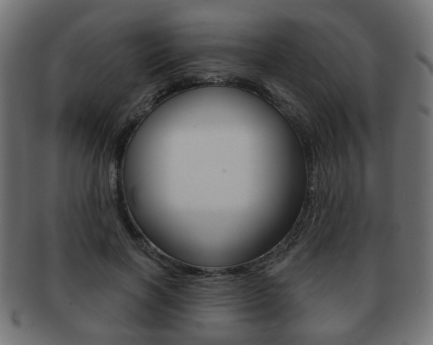 X0000091970646200709061133