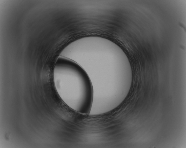 X0000091970647200709061133