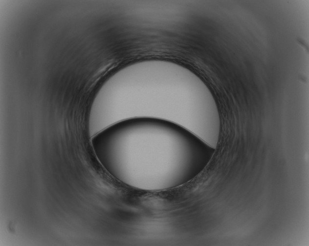 X0000091970648200709061133
