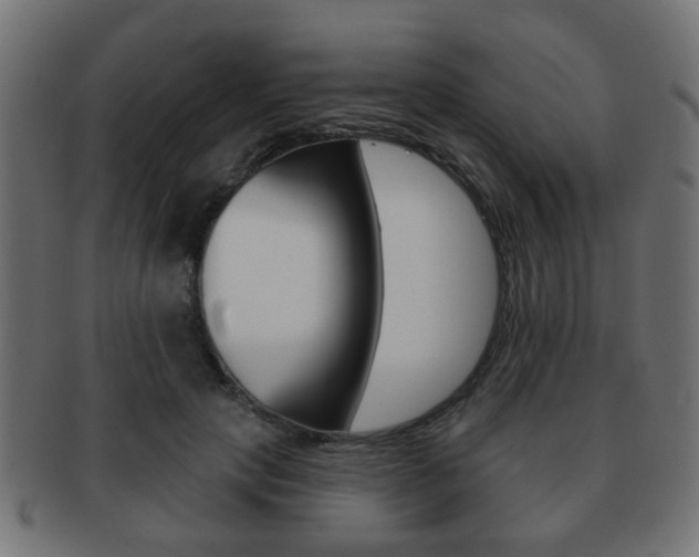 X0000091970649200709061133