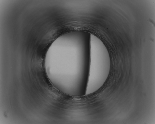 X0000091970650200709061133