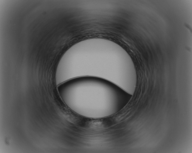 X0000091970651200709061133