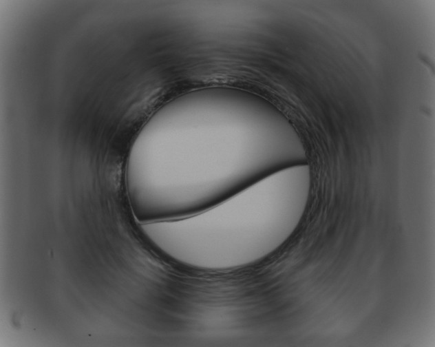 X0000091970652200709061133