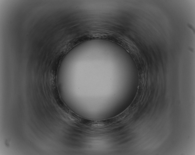 X0000091970653200709061133