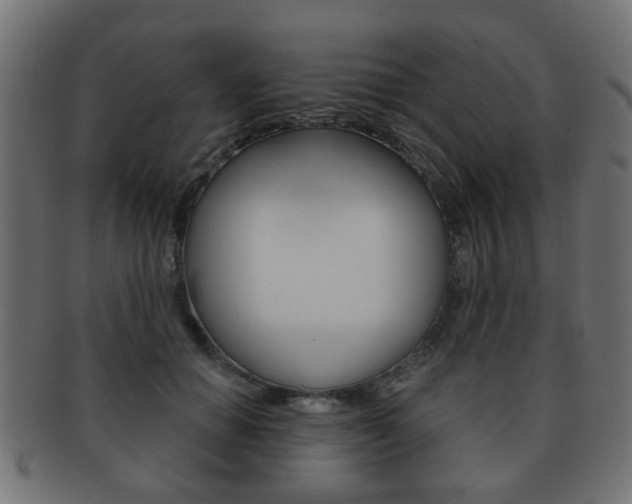 X0000091970654200709061133