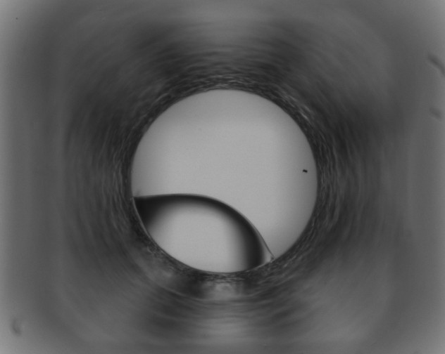 X0000091970655200709061133