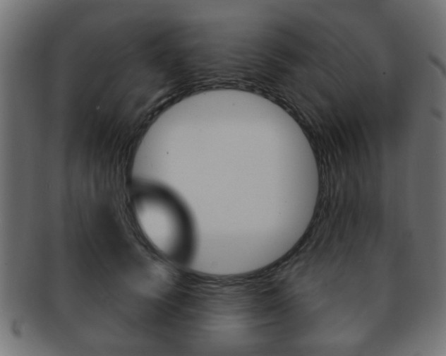X0000091970656200709061133