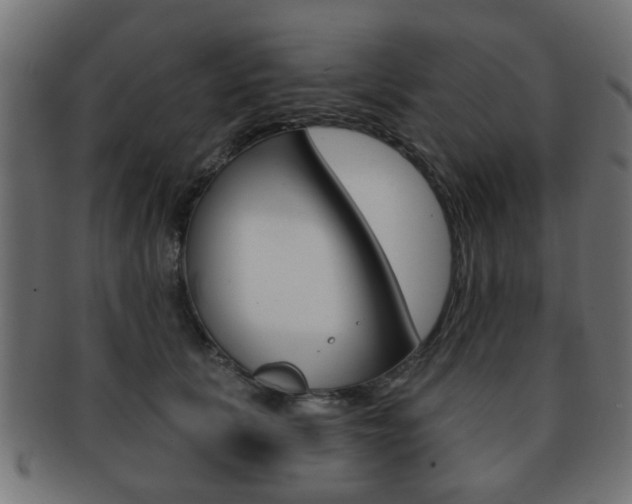 X0000091970657200709061133
