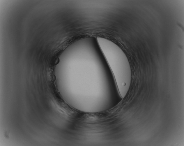 X0000091970658200709061133